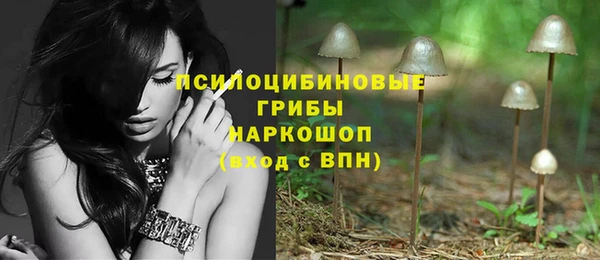 прущий лед Семёнов