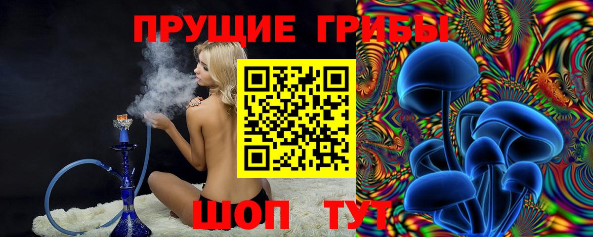 Псилоцибиновые грибы Psilocybe Тавда