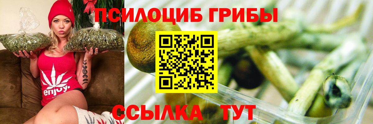 Тавда  Псилоцибиновые грибы Magic Shrooms  наркошоп  Вход с VPN 