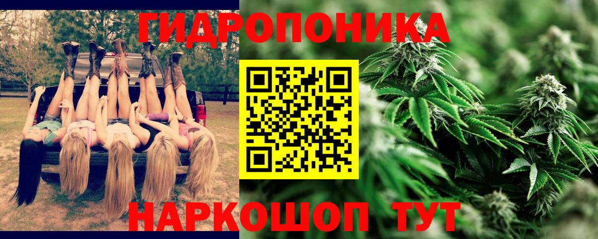 Шишки марихуана марихуана  Шишки марихуана Ganja  Тавда  Вход с VPN  Каннабис планчик 